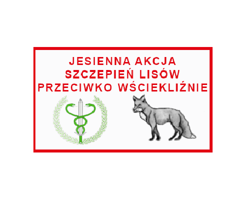 Szczepienie lisów