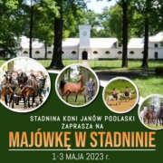 Majówka 2023 w Stadninie - miniatura